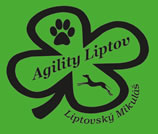 logoagility